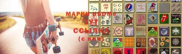 стаф Богданович