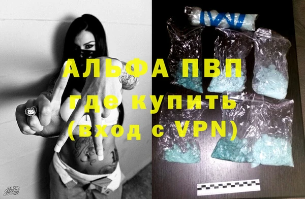 стаф Богданович