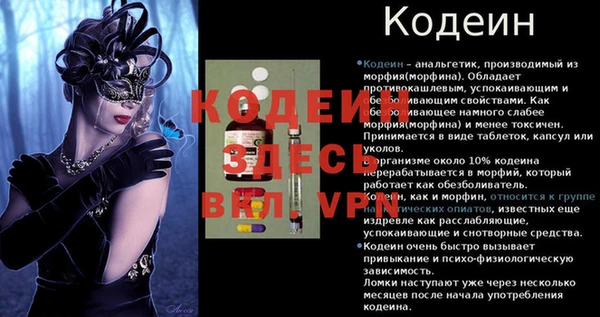 стаф Богданович