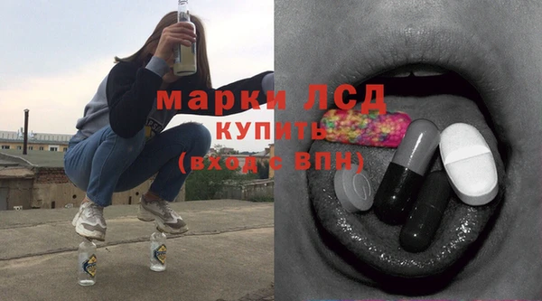 стаф Богданович