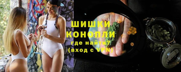 стаф Бронницы