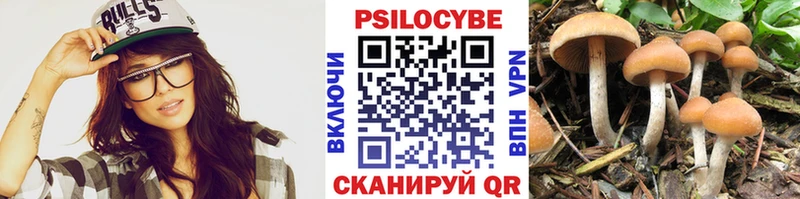 Галлюциногенные грибы ЛСД  Купить закладки  Бабаево 